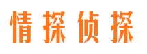 甘州市侦探